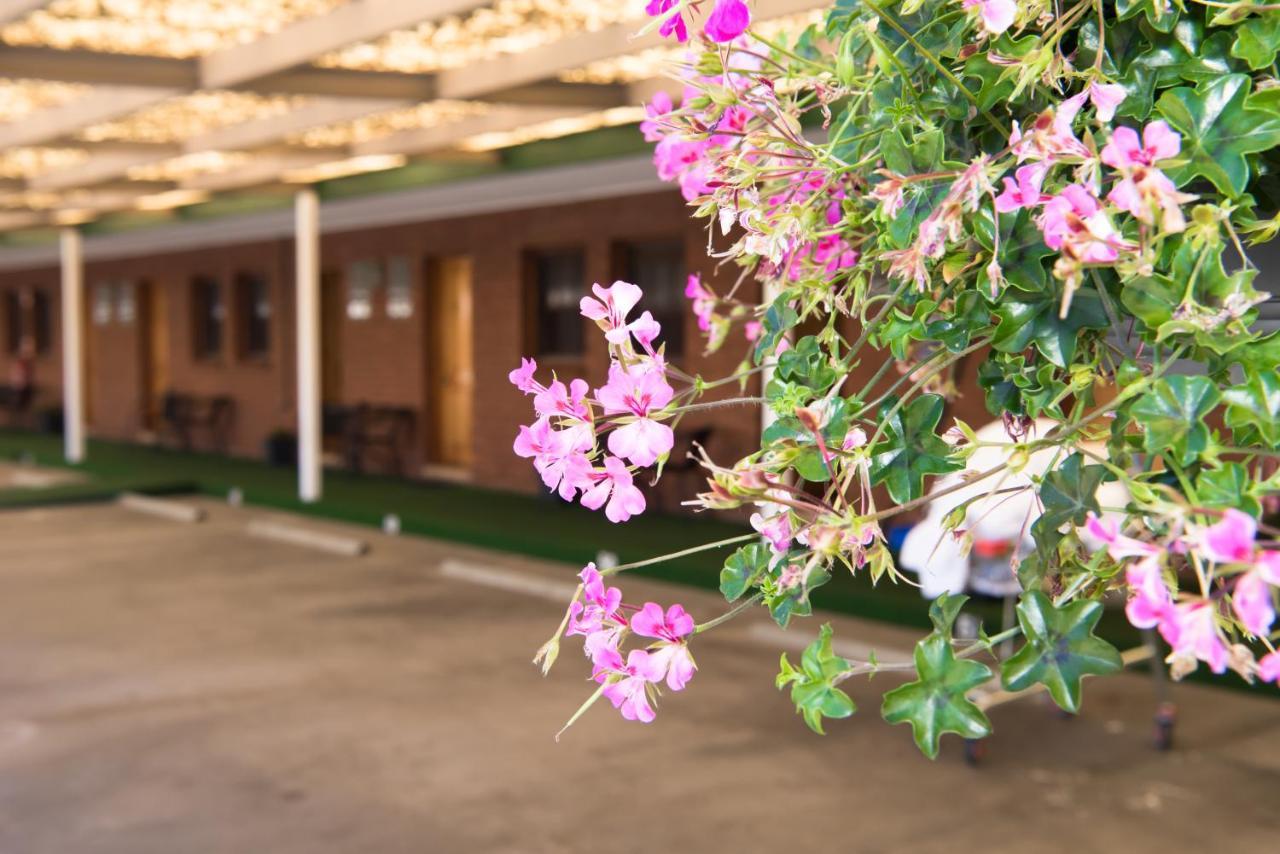 Elm Court Motel Albury Bagian luar foto