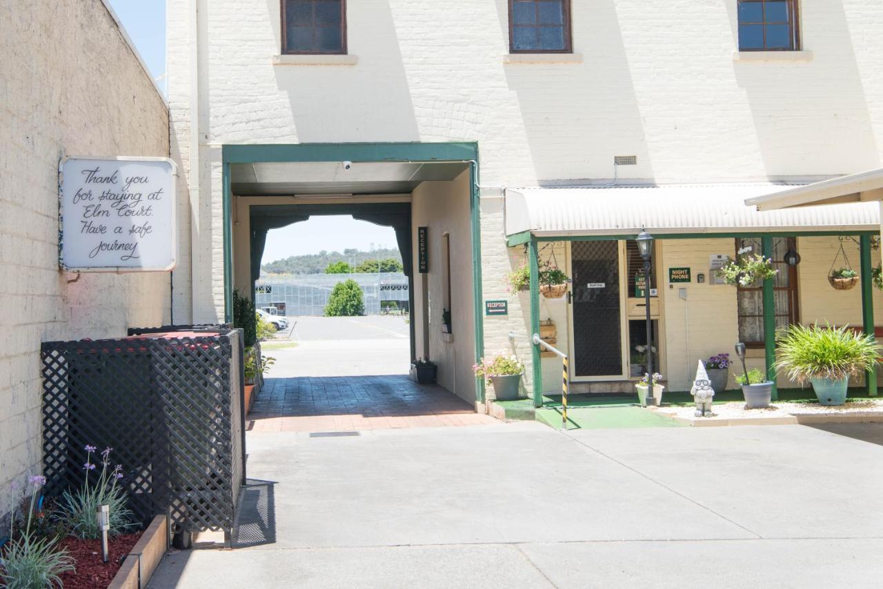 Elm Court Motel Albury Bagian luar foto